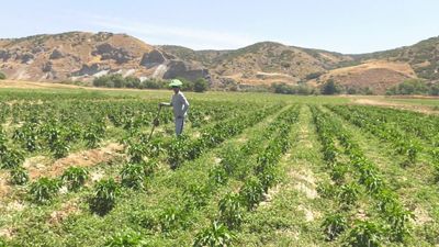 Mi cámara y yo: "Al mal tiempo, buena cara"