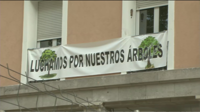 Vecinos de Retiro protestan por la tala de árboles en la plaza del Niño Jesús