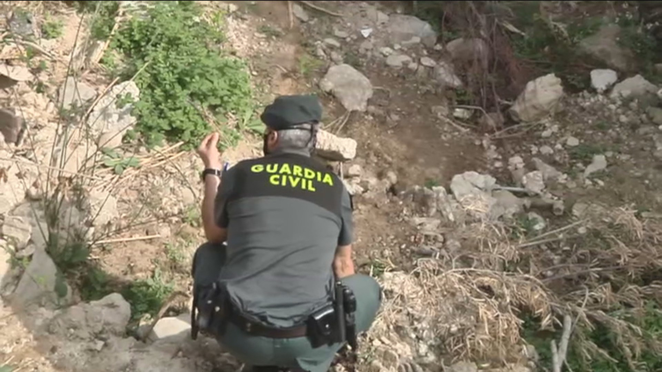 Sin rastro de la pantera negra que buscan en Granada