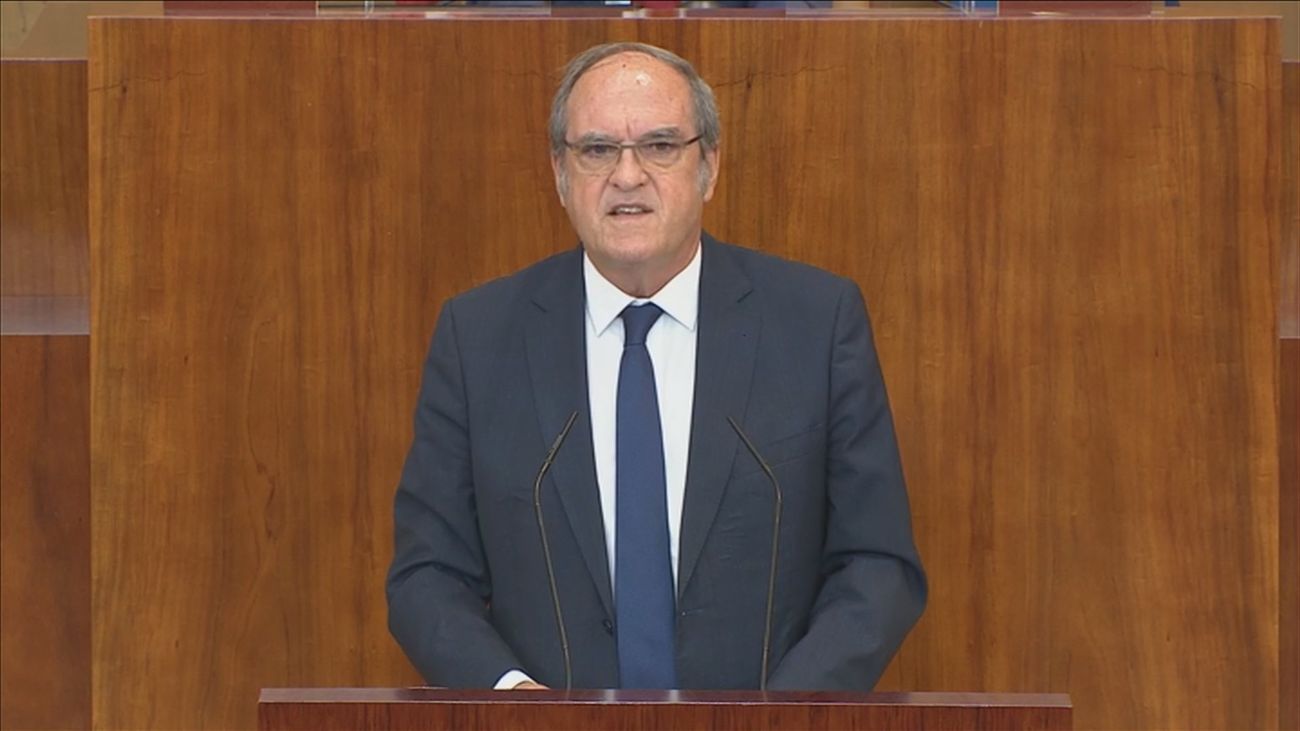 Ángel Gabilondo, portavoz del PSOE en la Asamblea de Madrid