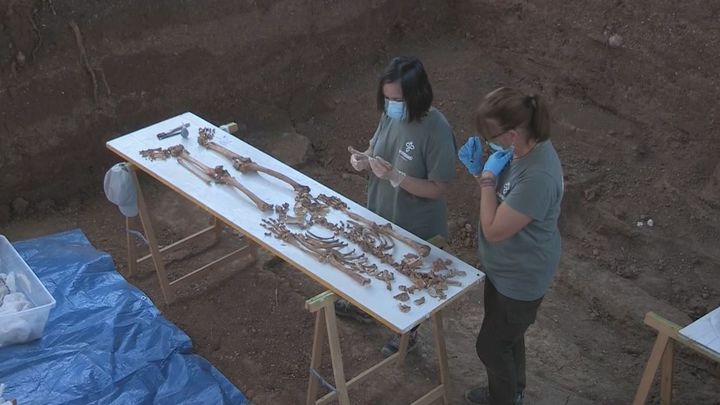 Exhumación de restos en una fosa común / REDACCIÓN