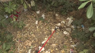 Enseres, heces humanas, preservativos y arbustos tupidos en Carabanchel