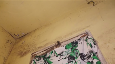 Viven en un sótano en condiciones insalubres, en las cercanías de Príncipe Pío