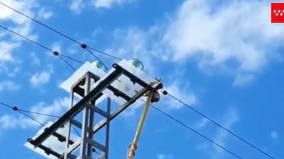Retiran a un aguila calzada de un tendido eléctrico en Pedrezuela