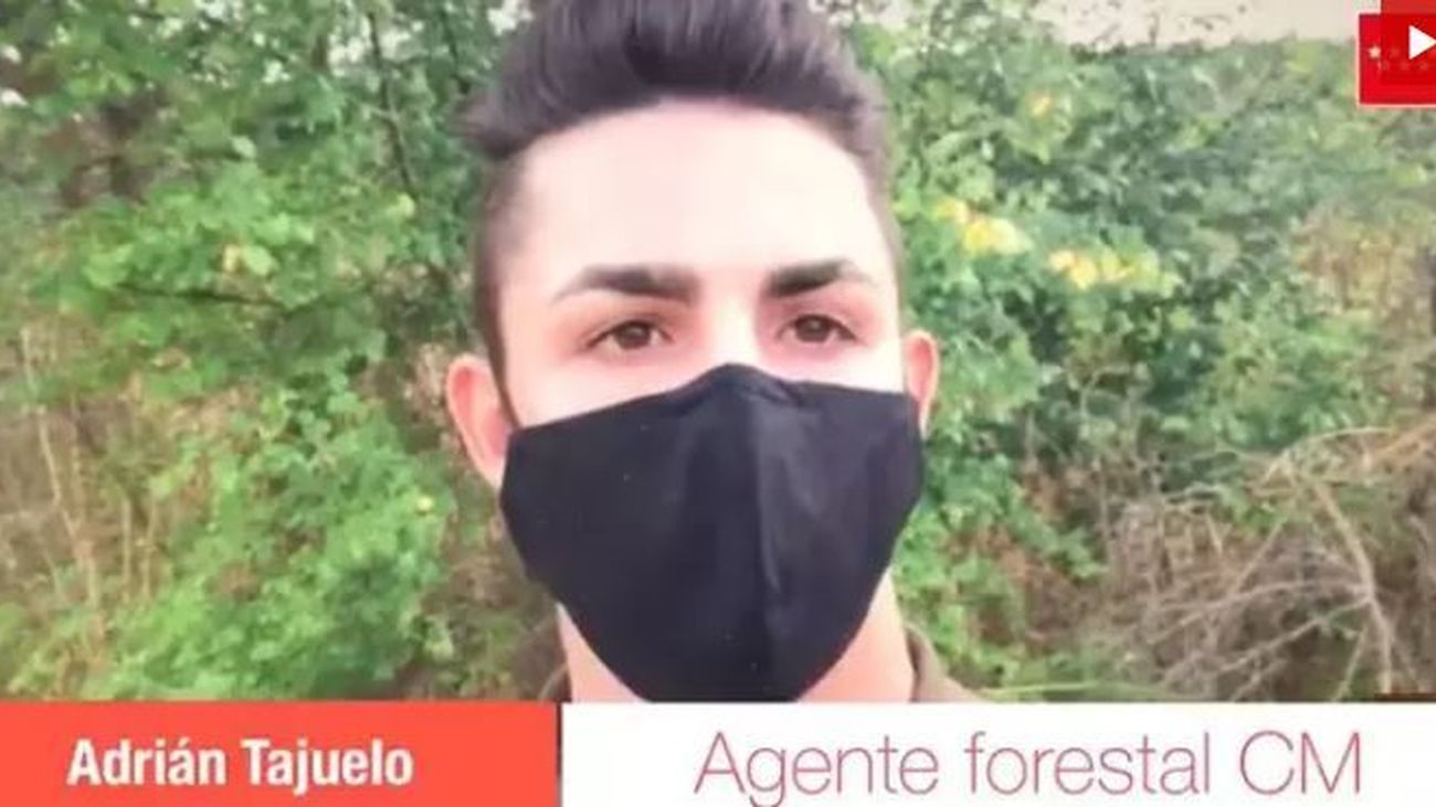 Un policía nacional y un agente forestal salvan la vida de un niño de  dos años atragantado con una aceituna