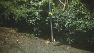 Velas y flores en recuerdo de la mujer hallada muerta en Valdezarza que podría haber sido violada