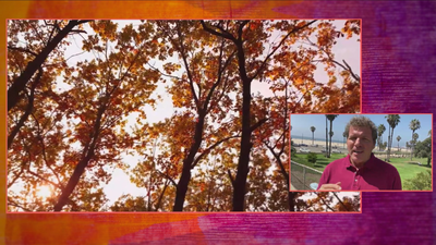 ¿Por qué el otoño nos hace engordar más?