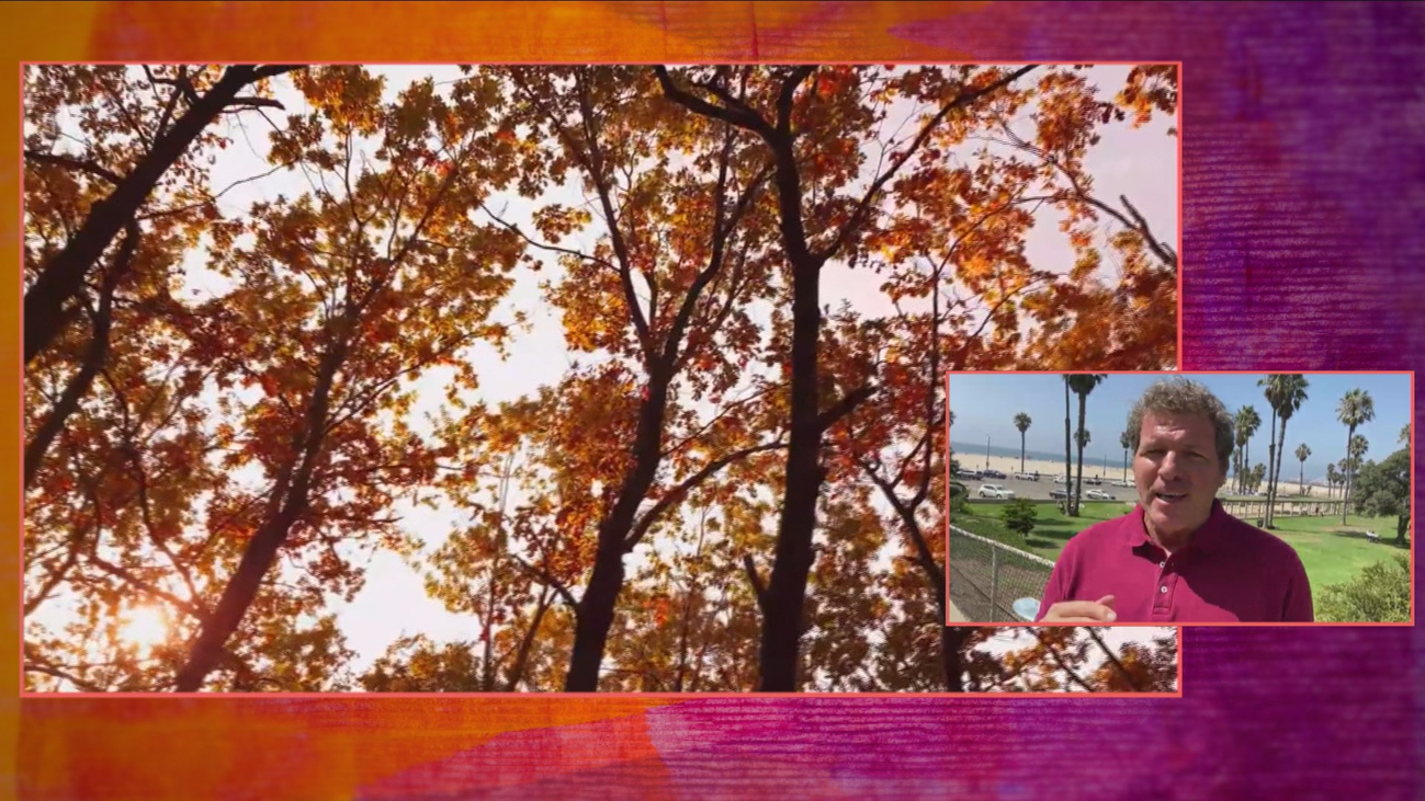 ¿Por qué el otoño nos hace engordar más?