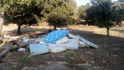 Nuevos vertidos ilegales en un encinar de Alcorcón