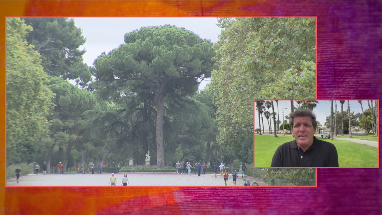 ¿Qué causa la piel seca en invierno?