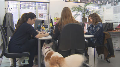 Orientación laboral: ¿Cómo se gestiona una mala salida del trabajo?