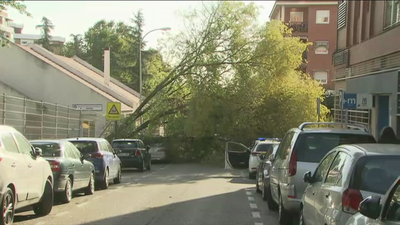 Los Bomberos de Madrid realizan 135 intervenciones por fuerte viento en siete horas