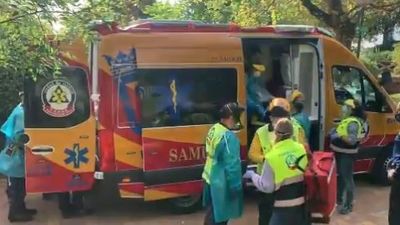 Grave una cuidadora del Zoo de Madrid tras ser atacada por un gorila de 200 kilos