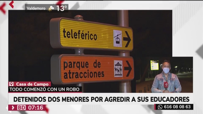 Detenidos dos 'menas' por agredir a sus educadores y a policías en la Casa de Campo