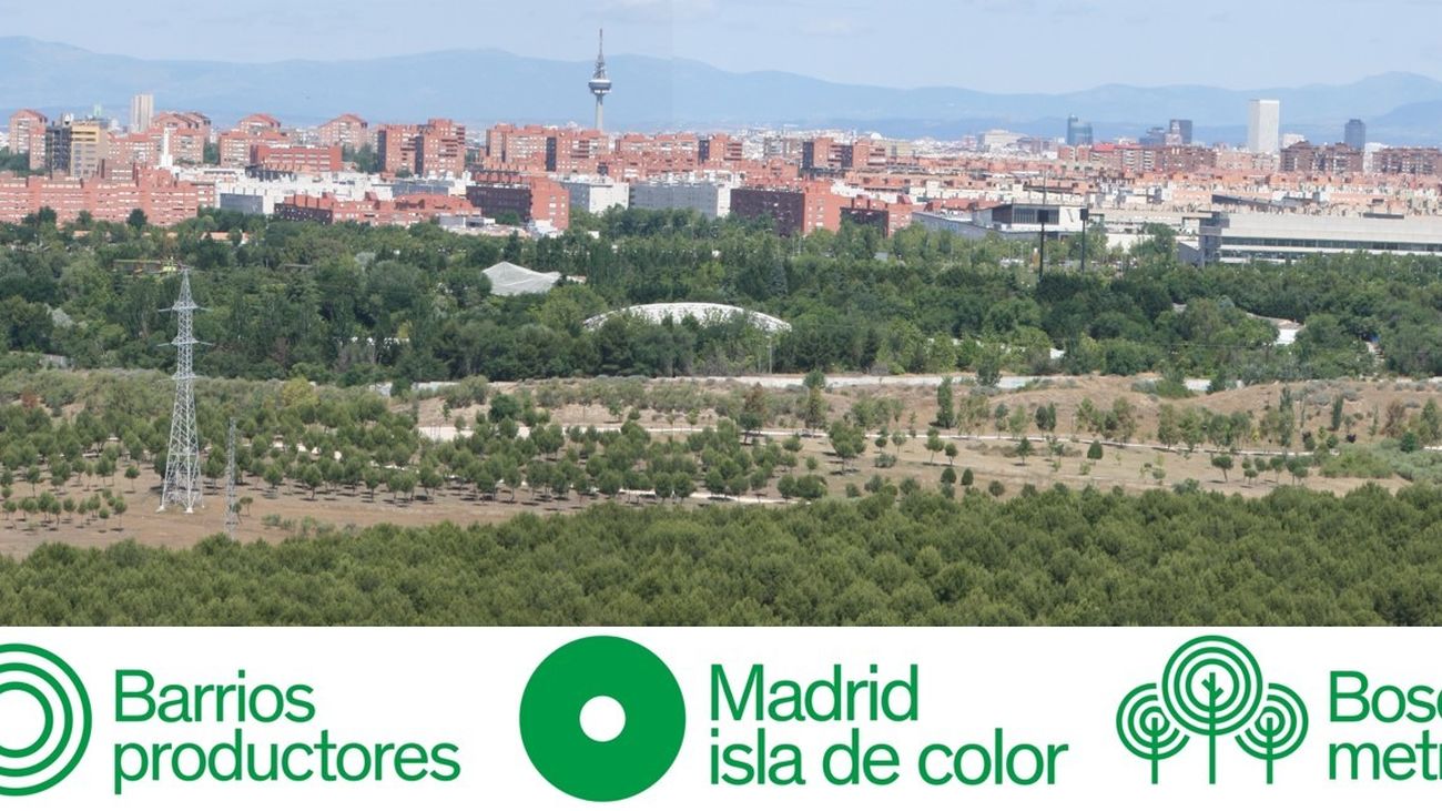 Un enorme cinturón verde de 75 kilómetros rodeará en próximos 10 años la ciudad de Madrid