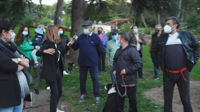 Los vecinos de Coslada sufren la caída de árboles siempre que hace mal tiempo