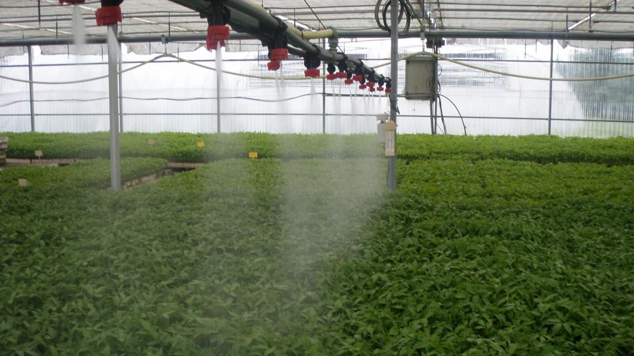 Instalaciones del IMIDRA en Arganda del Rey