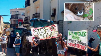 Los vecinos de Santa María de la Alameda están hasta los...visones