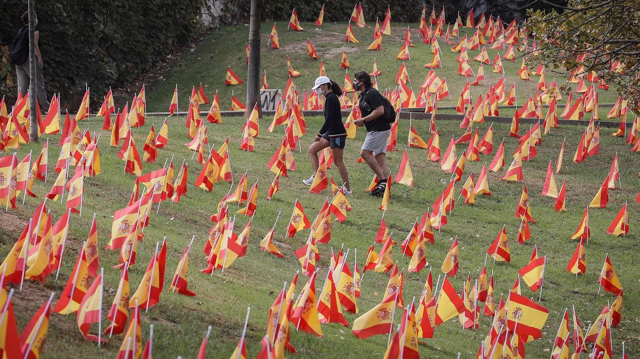 Vista de las 53.000 banderas colocadas por la Asociación Nacional de Víctimas y Afectados por Coronavirus
