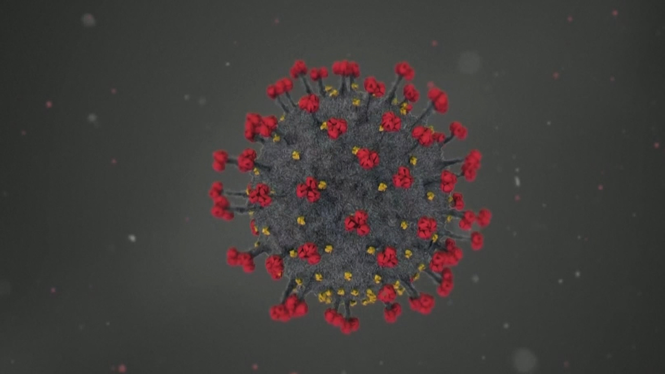Los tres escenarios posibles de la interacción entre la covid y la gripe en nuestro cuerpo