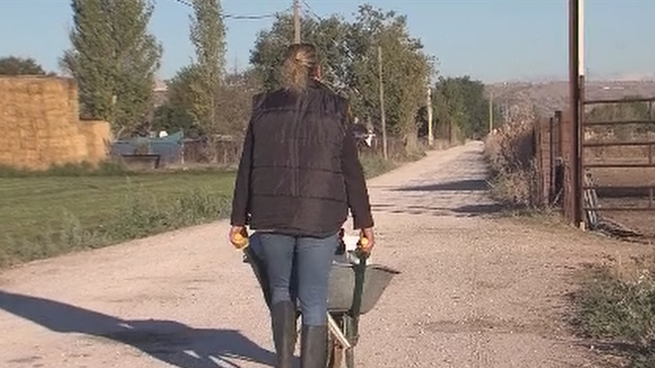 Las mujeres rurales en Madrid