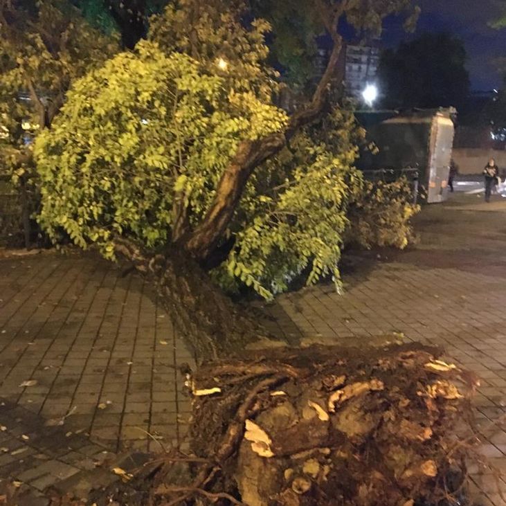 Buenos Días Madrid 21.10.2020 (8.00 - 9.00)