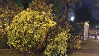 Buenos Días Madrid 21.10.2020 (8.00 - 9.00)