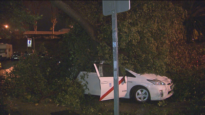 Caídas de árboles, inundaciones... Madrugada complicada en Madrid por culpa de la borrasca Bárbara