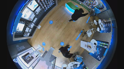 Robo a punta de navaja en Boadilla del Monte