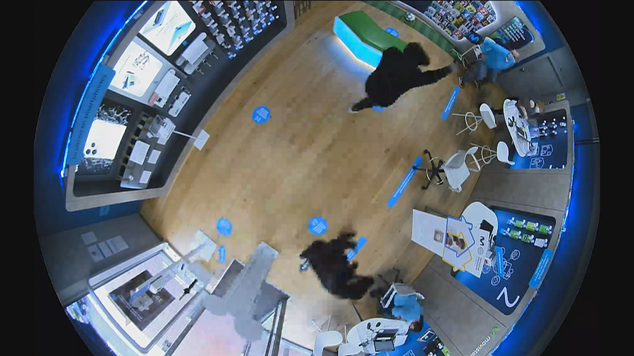 Robo a punta de navaja en Boadilla del Monte