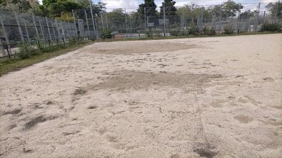 EF Madrid Sur, más que un campo de fútbol, de patatas