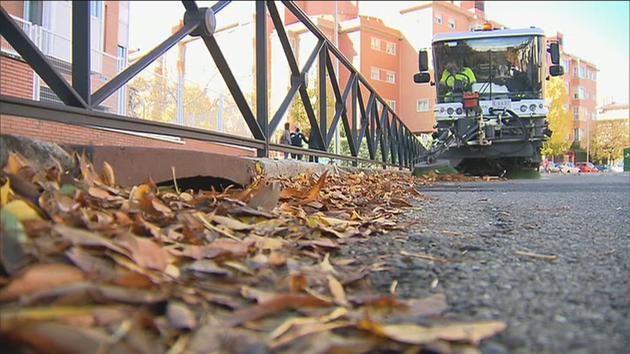 Comienza en Madrid la campaña de recogida de la hoja