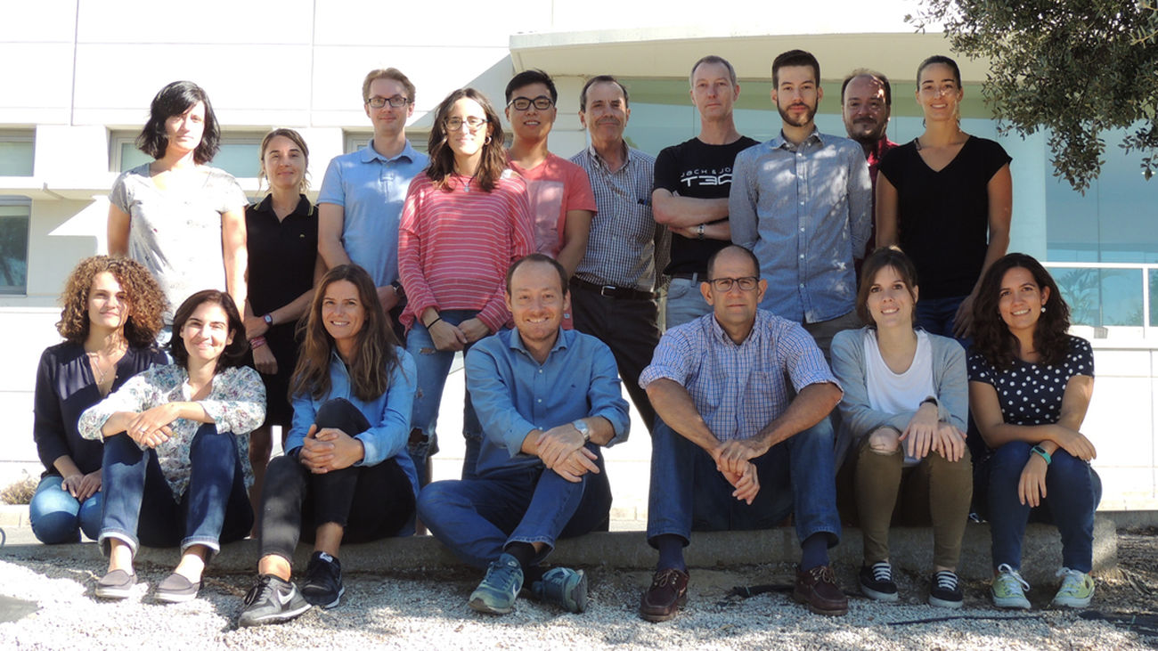 El investigador principal, Luis Rubio, abajo en el centro, junto al resto del equipo