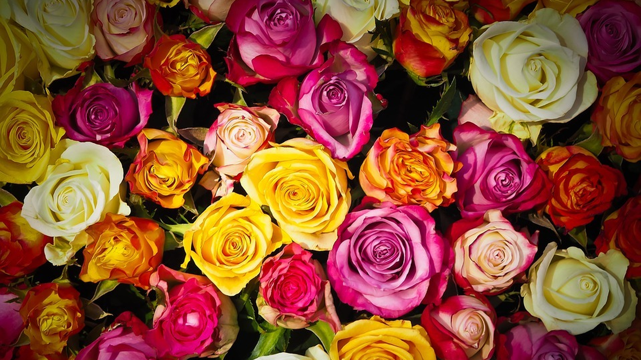 ¿Dónde comprar flores baratas en Madrid?