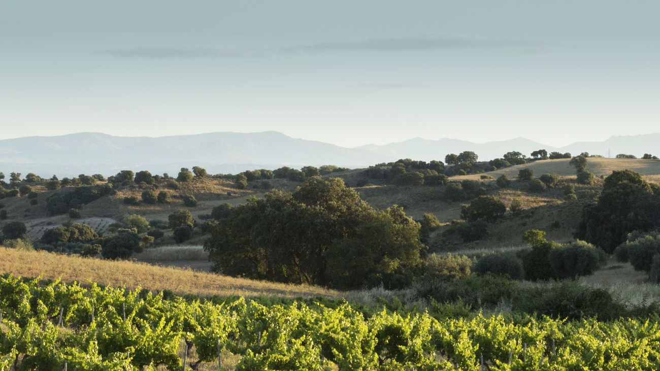 Recordarium, el primer ecoparque para esparcir las cenizas de los seres queridos