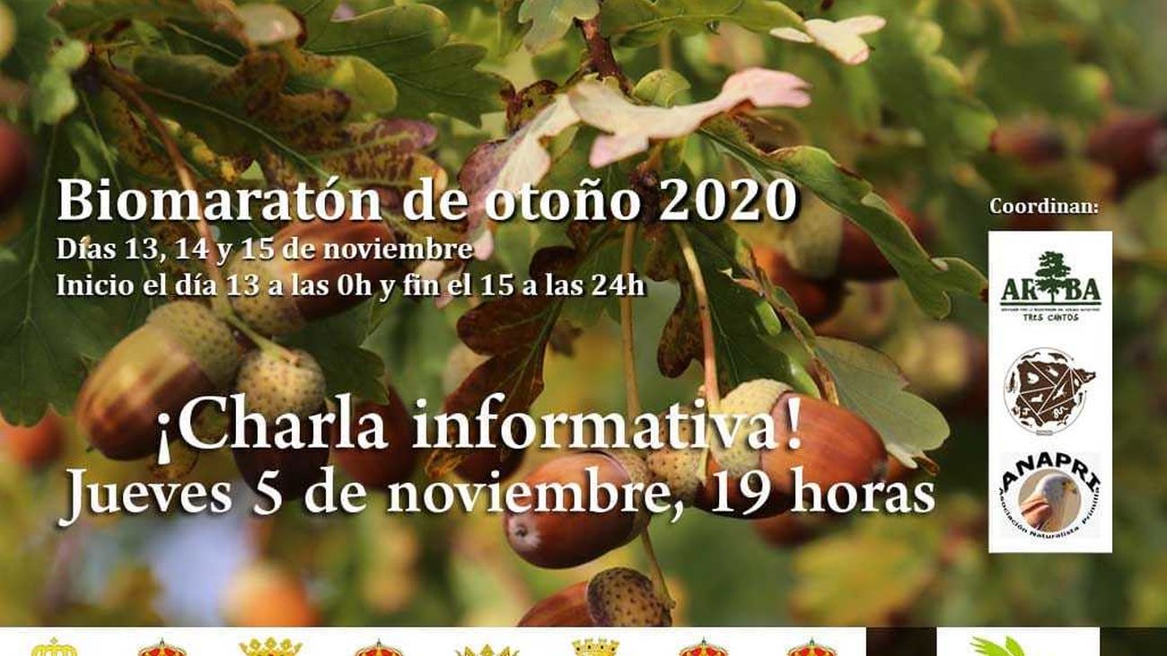 La zona norte convoca un 'biomaratón' para hacer un registro medioambiental