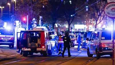 Varios muertos y al menos 15 heridos en un ataque terrorista cerca de una sinagoga en Viena