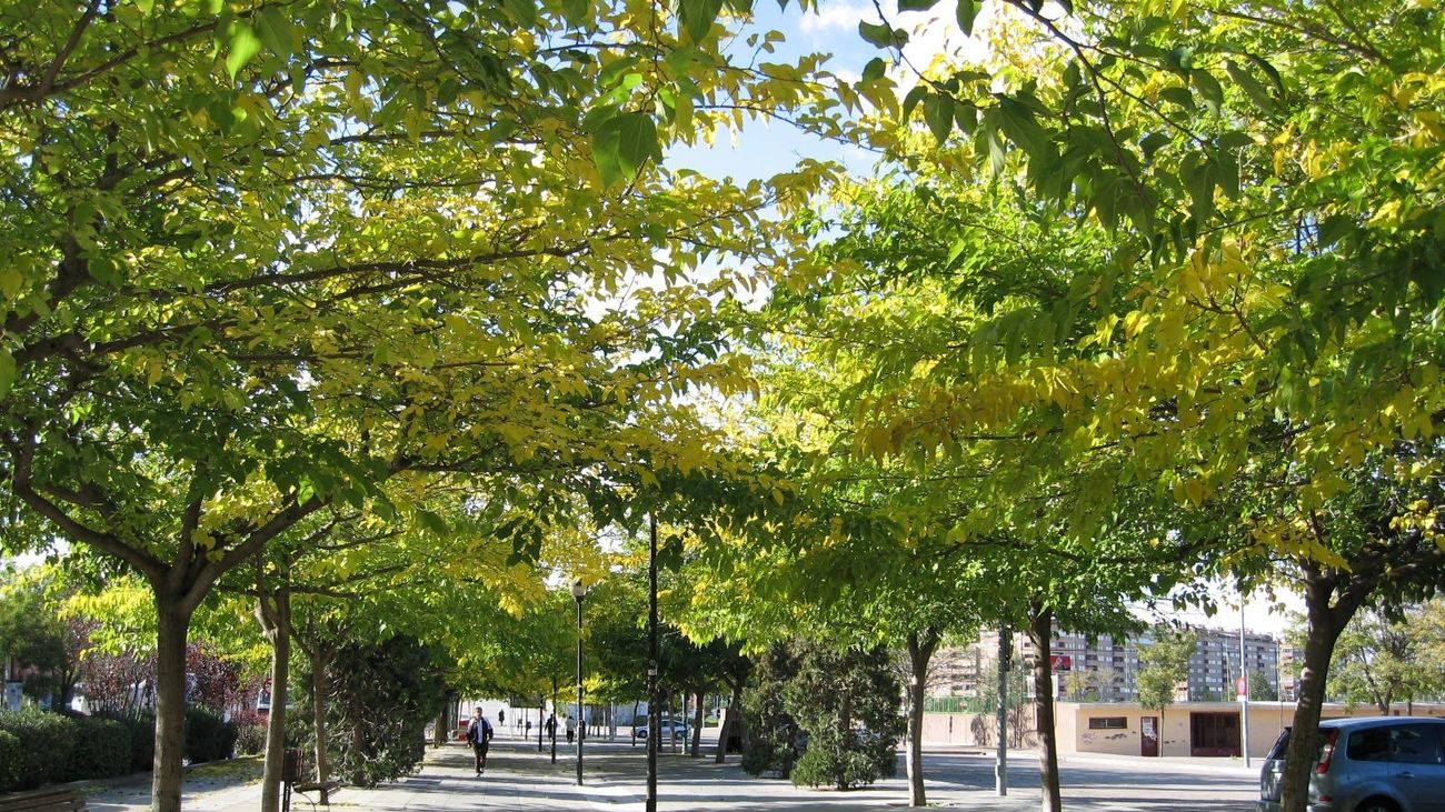 35 zonas de salud, 3 nuevas en Majadahonda y Coslada, tienen limitación de movilidad desde este lunes