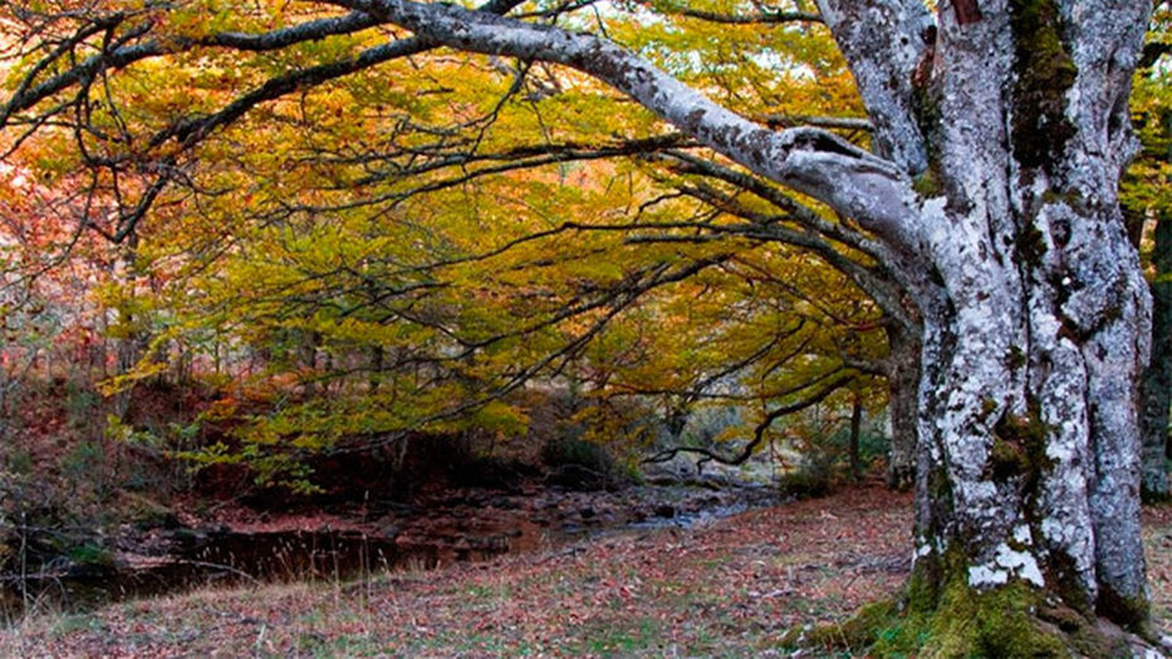 Paisajes de cuento a 1 hora de Madrid
