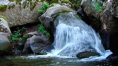 Diez planes de 10 para un puente de diciembre sin salir de Madrid