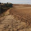 Un agricultor de Alcorcón se adueña de parte del camino de servicio de la M-50