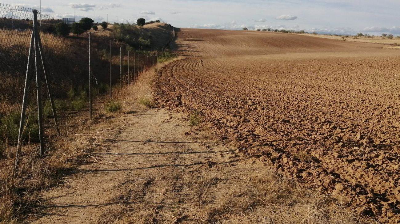 Un agricultor de Alcorcón se adueña de parte del camino de servicio de la M-50