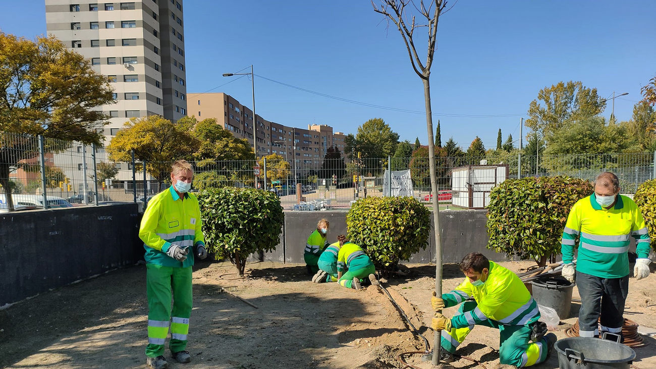Parla abre la totalidad de sus parques tras Filomena