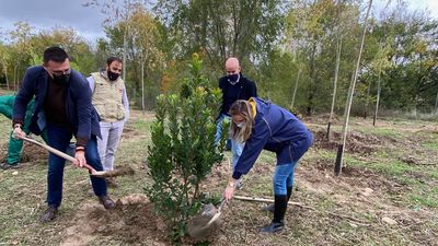 Comienzan las obras de conectividad del Arco Verde de Alcobendas