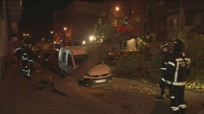 La caída de un árbol en Carabanchel causa daños en varios vehículos aparcados