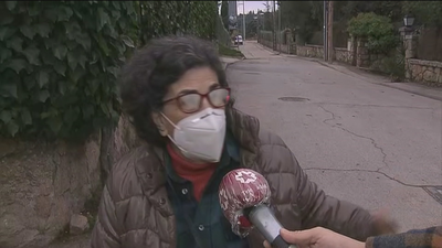 Denuncian la tala de árboles centenarios en Galapagar