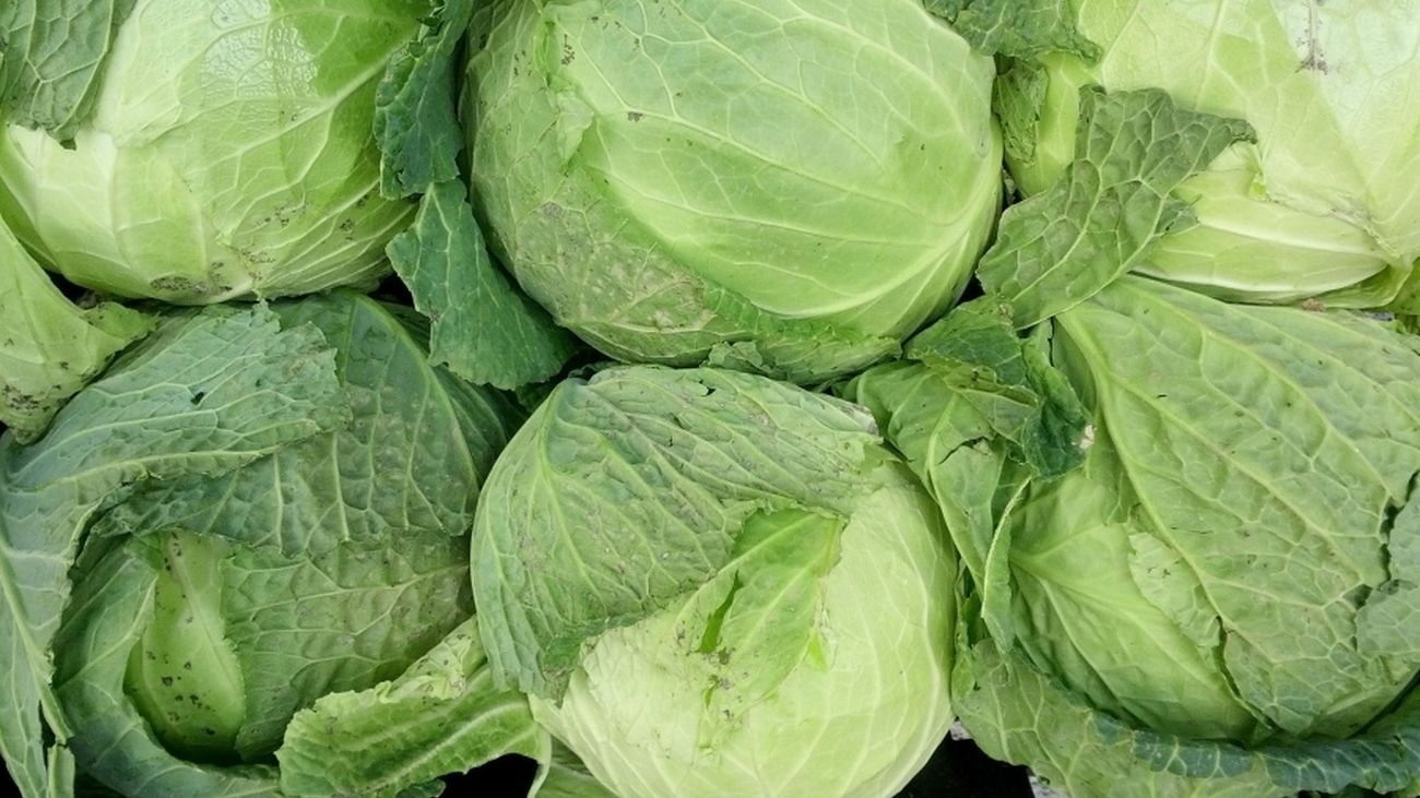 Los poderes mágicos de la col y el repollo