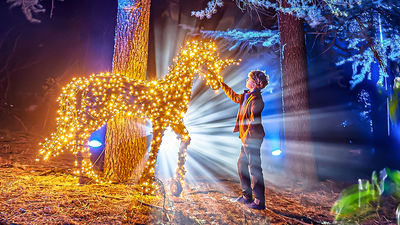 El Jardín Botánico vuelve a iluminarse por Navidad