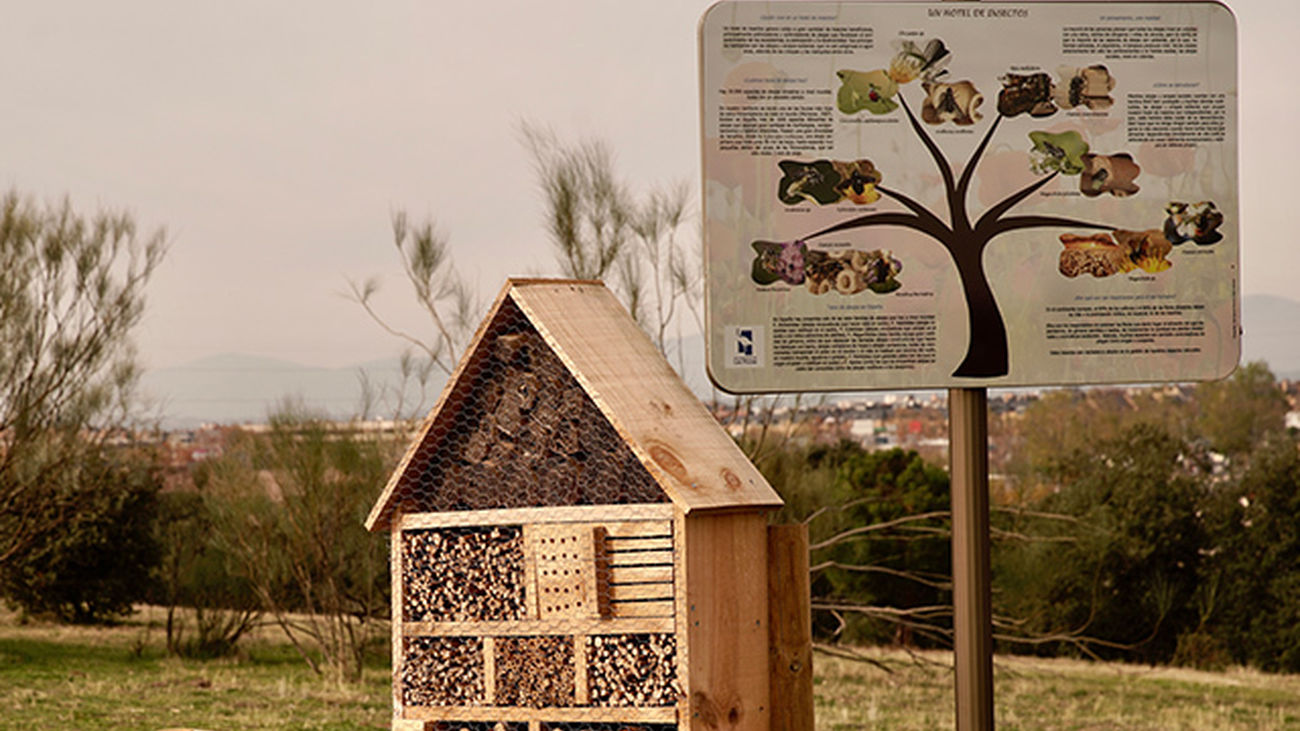 Se investiga la aparición de peces muertos en el Canal de la Dehesa de Navalcarbón