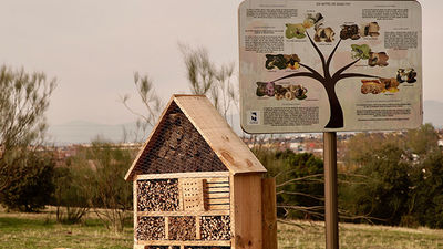Se investiga la aparición de peces muertos en el Canal de la Dehesa de Navalcarbón
